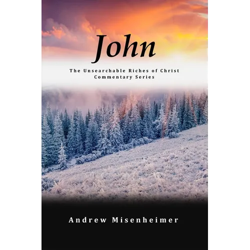 John: The Unsearchable Riches of Christ Commentary Series - Paperback