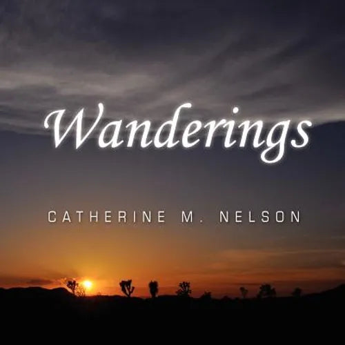 Wanderings - Paperback