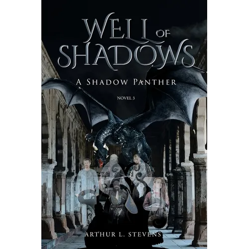 Well of Shadows: A Shadow Panther Novel 3 - Paperback