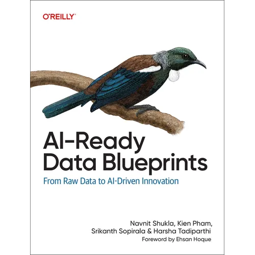 Ai-Ready Data Blueprints: From Raw Data to Ai-Driven Innovation - Paperback