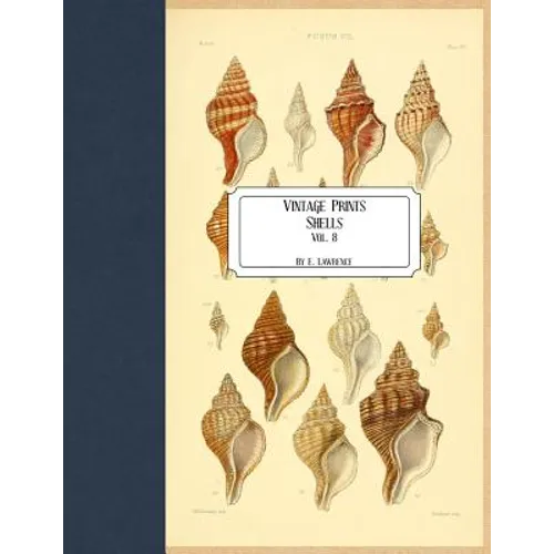 Vintage Prints: Shells: Vol. 8 - Paperback