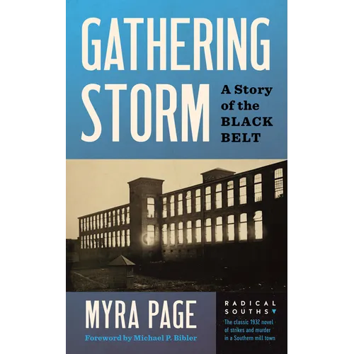 Gathering Storm: A Story of the Black Belt - Paperback