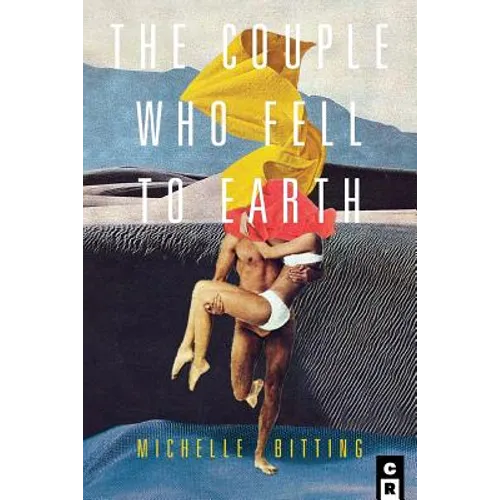The Couple Who Fell to Earth - Paperback