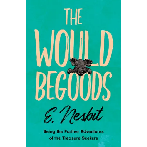 The Wouldbegoods - Paperback