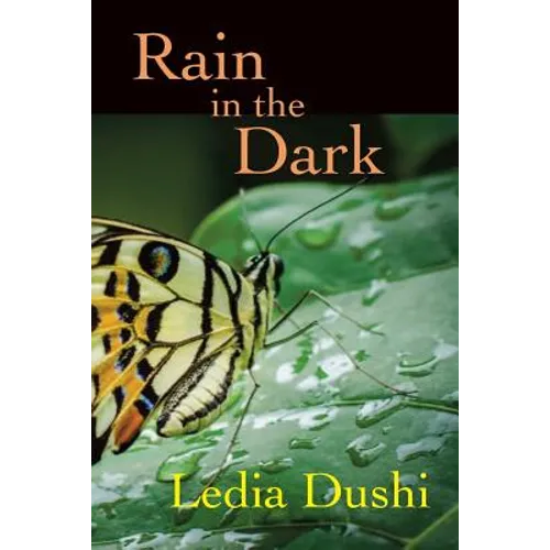 Rain in the Dark - Paperback