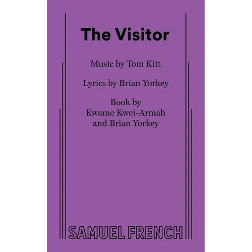 The Visitor - Paperback
