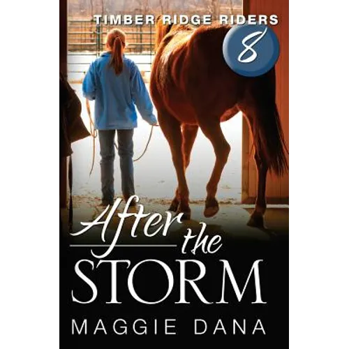 After the Storm - Paperback