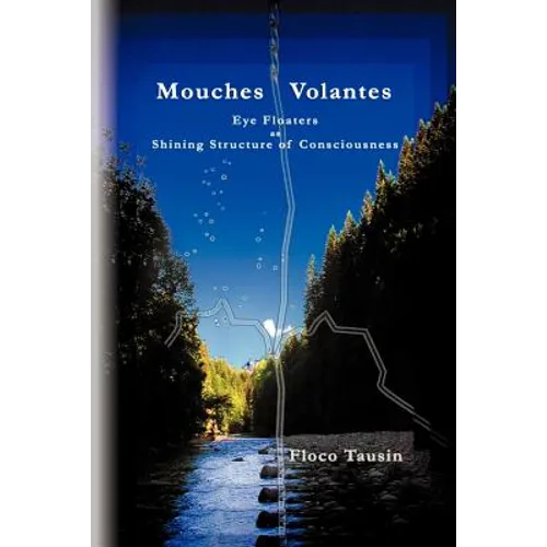 Mouches Volantes - Eye Floaters as Shining Structure of Consciousness - Paperback