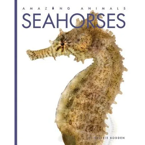 Seahorses - Paperback
