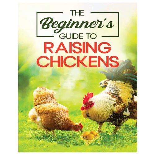 Raising Chickens for Beginners: An A-Z Guide on Starting Your Own Flock and Ensuring Their Well-being - Paperback