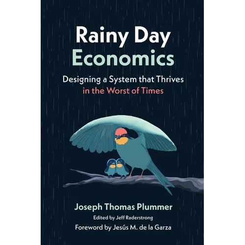 Rainy Day Economics: Designing a System that Thrives in the Worst of Times - Paperback