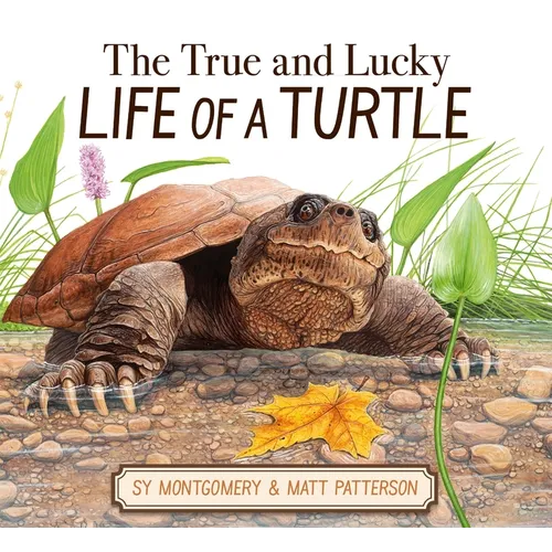 The True and Lucky Life of a Turtle - Hardcover