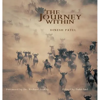 The Journey Within