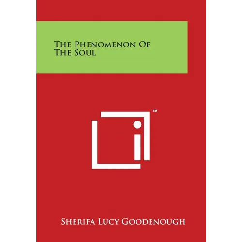 The Phenomenon of the Soul - Paperback