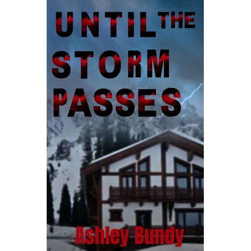 Until the Storm Passes - Paperback