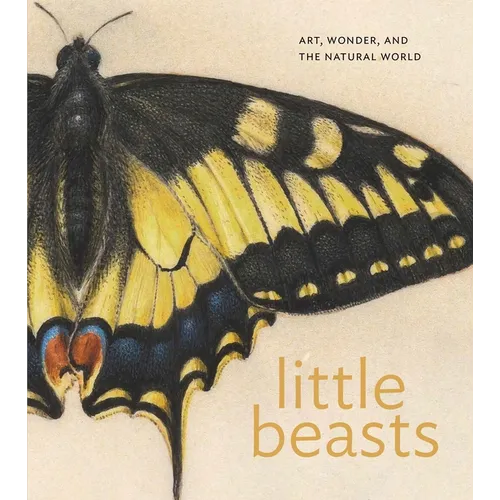 Little Beasts: Art, Wonder, and the Natural World