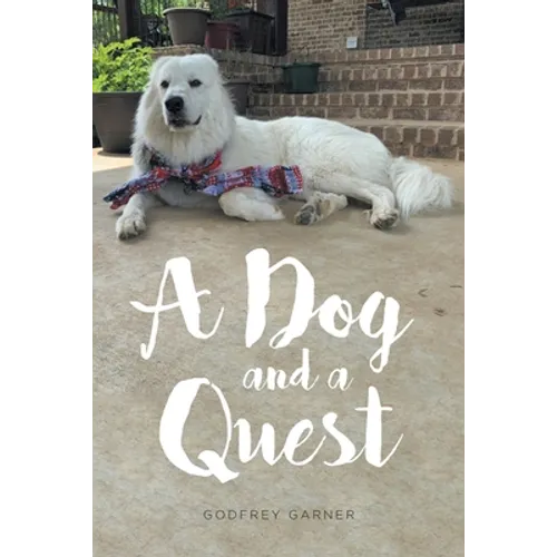 A Dog and a Quest - Paperback