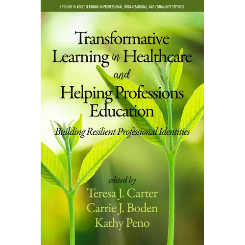 Transformative Learning in Healthcare and Helping Professions Education: Building Resilient Professional Identities - Paperback