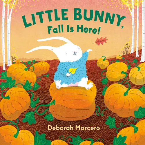 Little Bunny, Fall Is Here! - Board Book