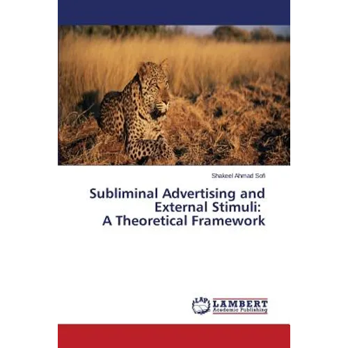 Subliminal Advertising and External Stimuli: A Theoretical Framework - Paperback