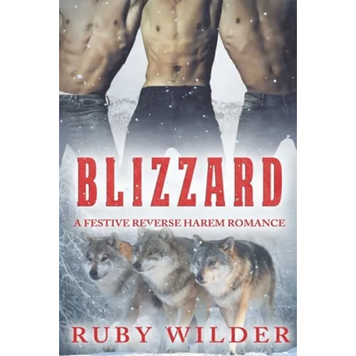 Blizzard: A Festive Reverse Harem Romance - Paperback