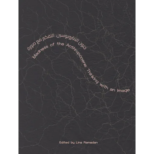 Madness of the Anthropocene: Thinking with an Image - Paperback