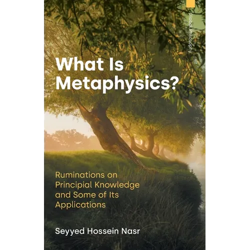 What is Metaphysics: Ruminations on Principial Knowledge and Some of Its Applications - Paperback