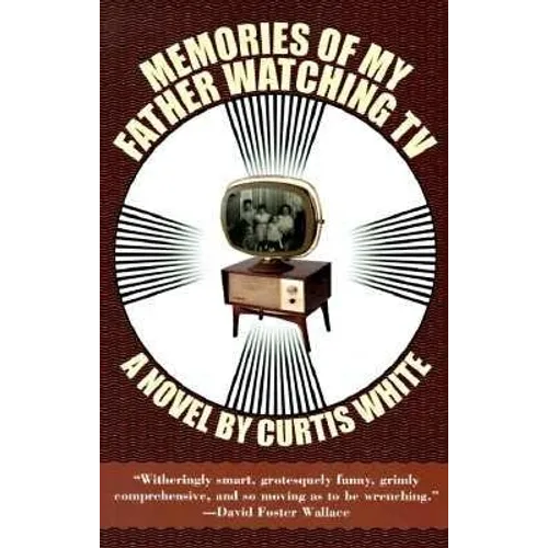 Memories of My Father Watching TV - Paperback