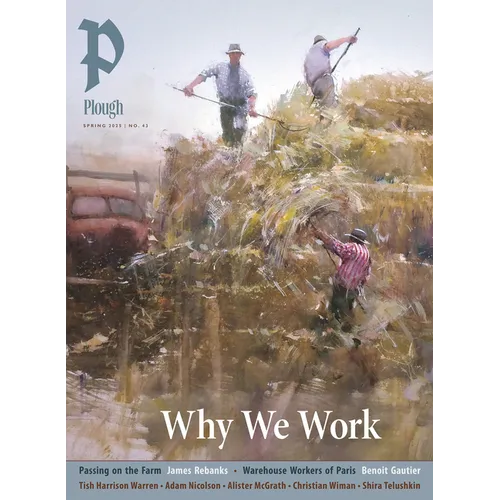 Plough Quarterly No. 43 - Why We Work - Paperback