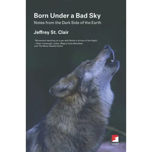 Born Under a Bad Sky: Notes from the Dark Side of the Earth - Paperback