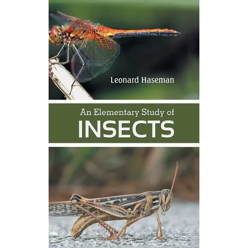 An Elementary Study of insects - Hardcover