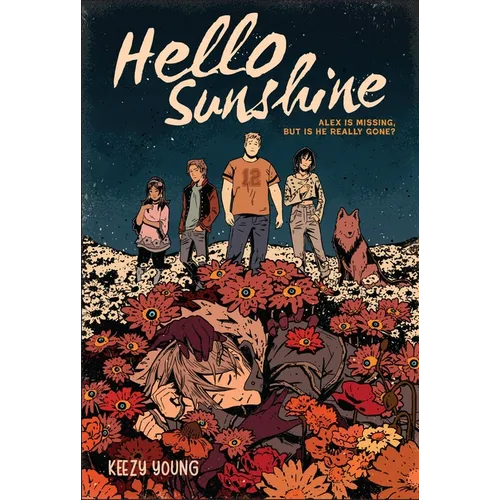Hello Sunshine (a Graphic Novel)