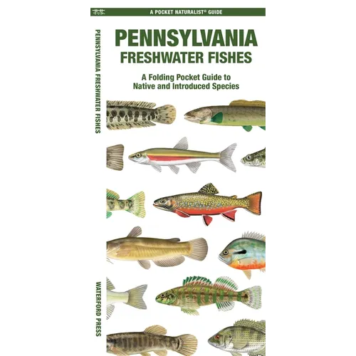 Pennsylvania Freshwater Fishes: A Folding Pocket Guide to Native and Introduced Species