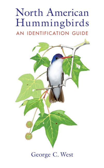 North American Hummingbirds: An Identification Guide - Paperback