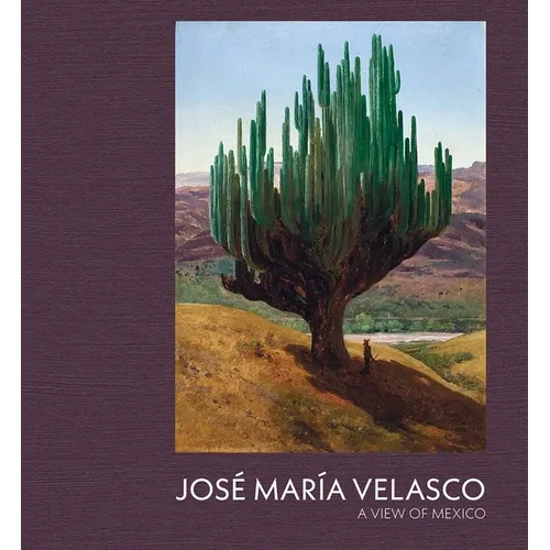 Jose Maria Velasco: A View of Mexico - Hardcover