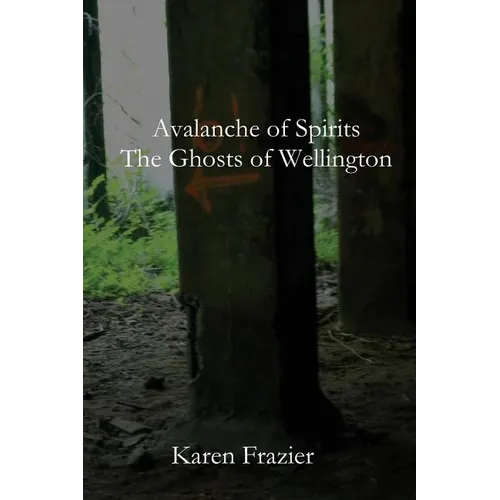 Avalanche of Spirits: The Ghosts of Wellington - Paperback