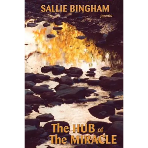 Hub of the Miracle - Paperback