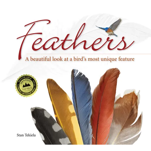 Feathers: A Beautiful Look at a Bird's Most Unique Feature