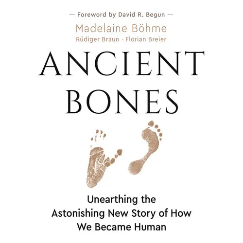 Ancient Bones: Unearthing the Astonishing New Story of How We Became Human - Paperback