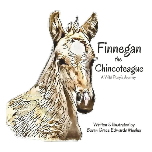 Finnegan the Chincoteague: A Wild Pony's Journey - Paperback