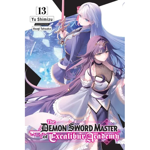 The Demon Sword Master of Excalibur Academy, Vol. 13 (Light Novel) - Paperback