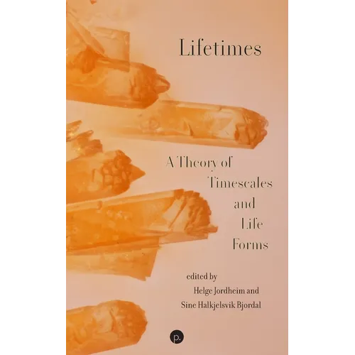 Lifetimes: A Theory of Timescales and Life Forms - Paperback