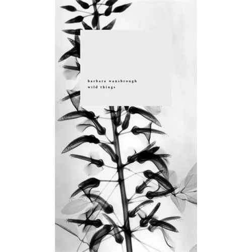 Wild Things: A Geography of Grief - Paperback