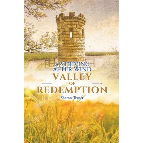 A Striving After Wind: Valley of Redemption - Paperback