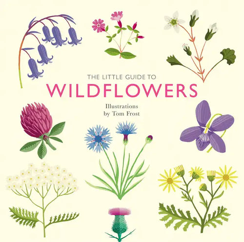The Little Guide to Wildflowers - Hardcover