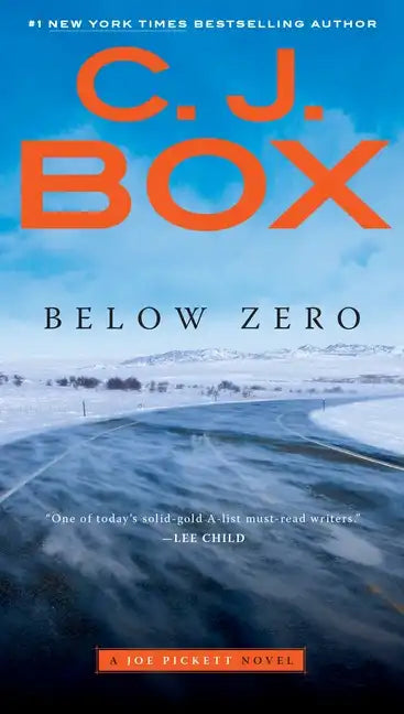 Below Zero - Paperback