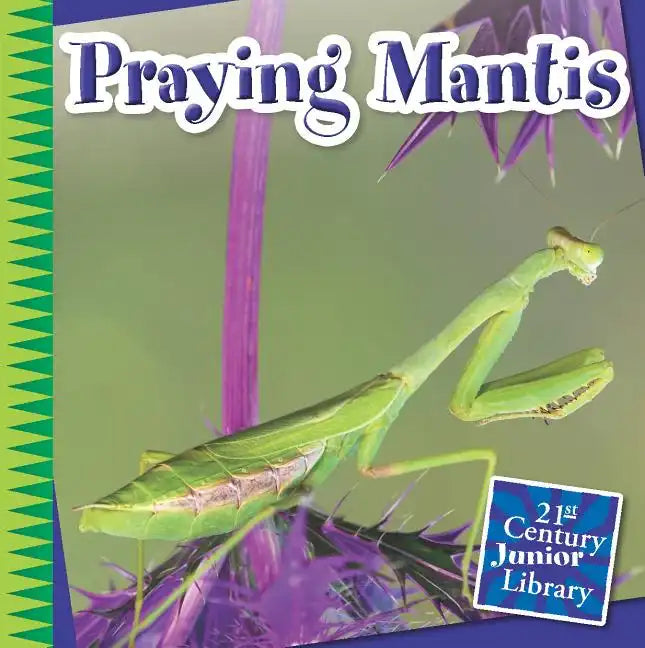 Praying Mantis - Paperback