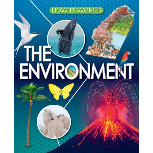 The Environment - Paperback
