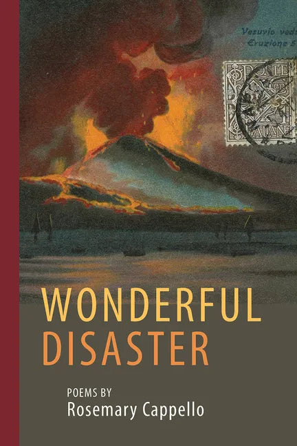 Wonderful Disaster - Paperback