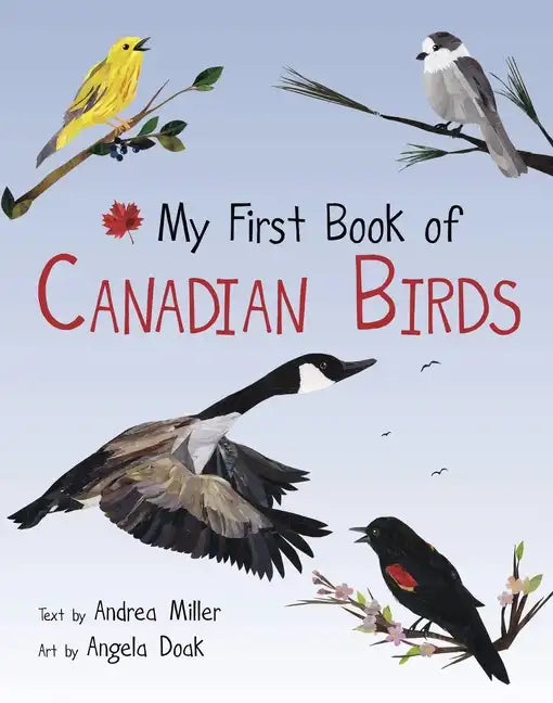 My First Book of Canadian Birds - Paperback